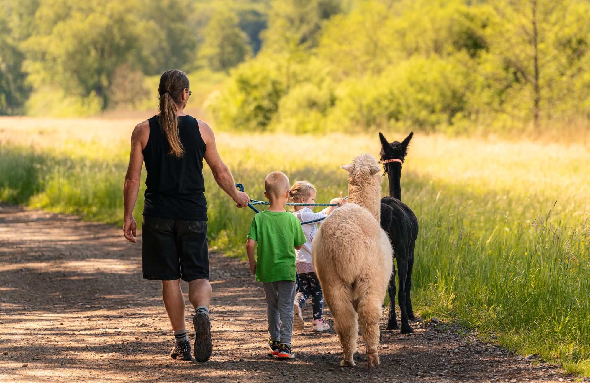 On Location Tierfotografie © Simon Hallermann
